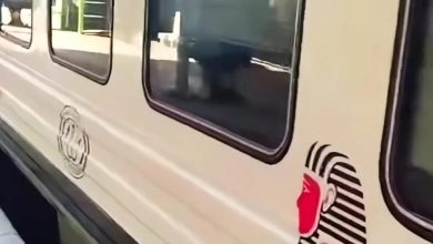 يتحرك-من-أسوان-للإسكندرية.-مواعيد-وأسعار-تذاكر-قطار-«أبو-الهول»-رقم-2007