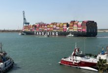 ميناء-دمياط-:-113-ألف-طن-رصيد-القمح-للقطاع-العام-بالميناء