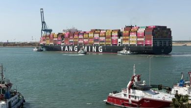 ميناء-دمياط-:-113-ألف-طن-رصيد-القمح-للقطاع-العام-بالميناء