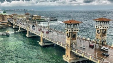 أوصل-أسيوط-بـ-170-جنيهاً.-قطار-3008-ثالثة-مكيفة-«الإسكندرية-ـ-أسوان»