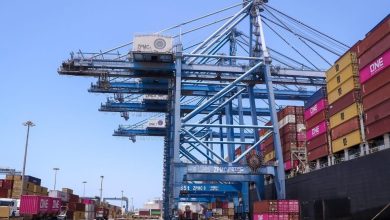 ميناء-دمياط-: -31-سفينة  اجمالي-عدد-السفن-الموجودة-بالميناء 