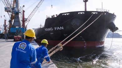 ميناء-دمياط-يستقبل-السفينة-العملاقة-“yang-fan”-بأكبر-حمولة-بضائع-صب-في-تاريخه