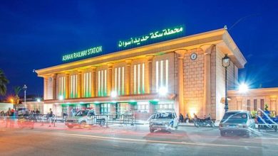 يصل-الأقصر-7:50-مساءً.-تفاصيل-توقفات-وأسعار-روسى-مكيف-1004-«القاهرة-ـ-أسوان» 