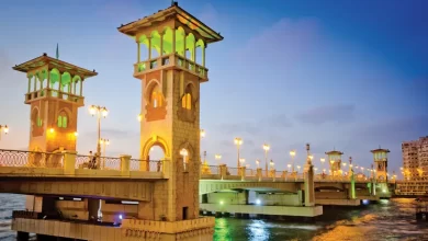 بـ-155-روسى-تهوية-من-الإسكندرية-إلى-أسوان-توقفات-قطار-1008-يومياً