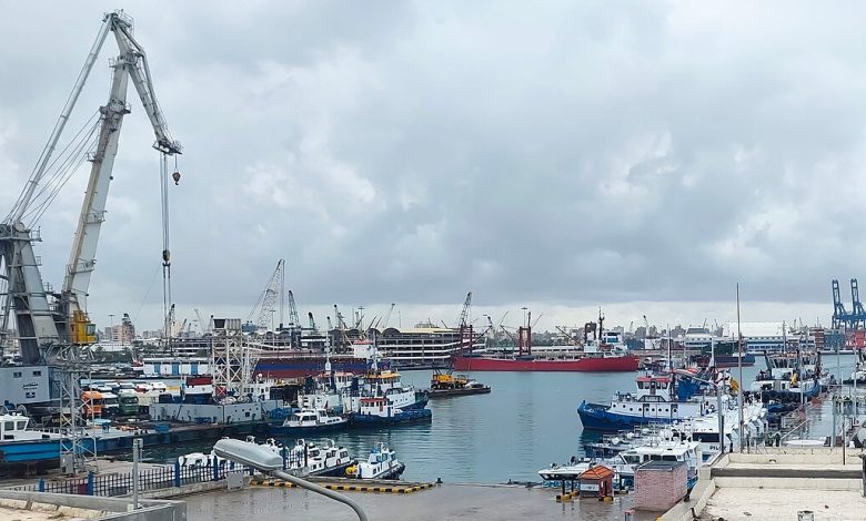 الهيئة-العامة-لميناء-الإسكندرية-تتداول-185-ألف-طن-بضائع-خلال-24-ساعة