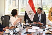 استثمارات-صينية-بـ20-مليون-دولار-لدعم-توطين-صناعة-السيارات-في-مصر