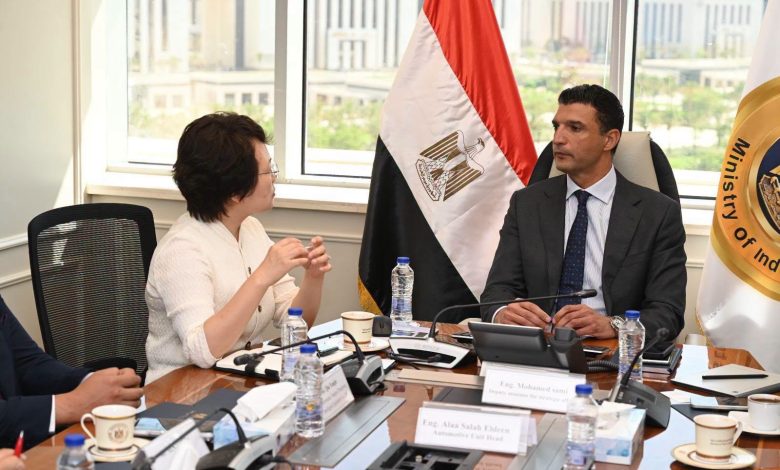 استثمارات-صينية-بـ20-مليون-دولار-لدعم-توطين-صناعة-السيارات-في-مصر
