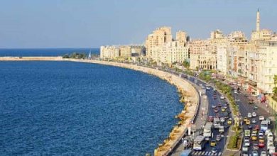 140جنيهاً-ذهاب-والعودة-من-القاهرة-اللإسكندرية-للقطارات-الروسى