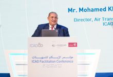 المدير-الإقليمي-لـ-إيكاو:-دراسة-مصر-لإنتاج-وقود-الطيران-المستدام-ستكون-نقطة-تحول-محورية-للدولة