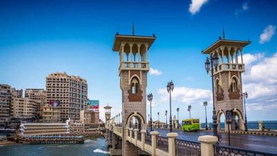 سعر-التذكرة-90-جنيه.-قطار-516/517-درجة ثالثة-مكيفة-«المنصورة-ـ-الإسكندرية» 